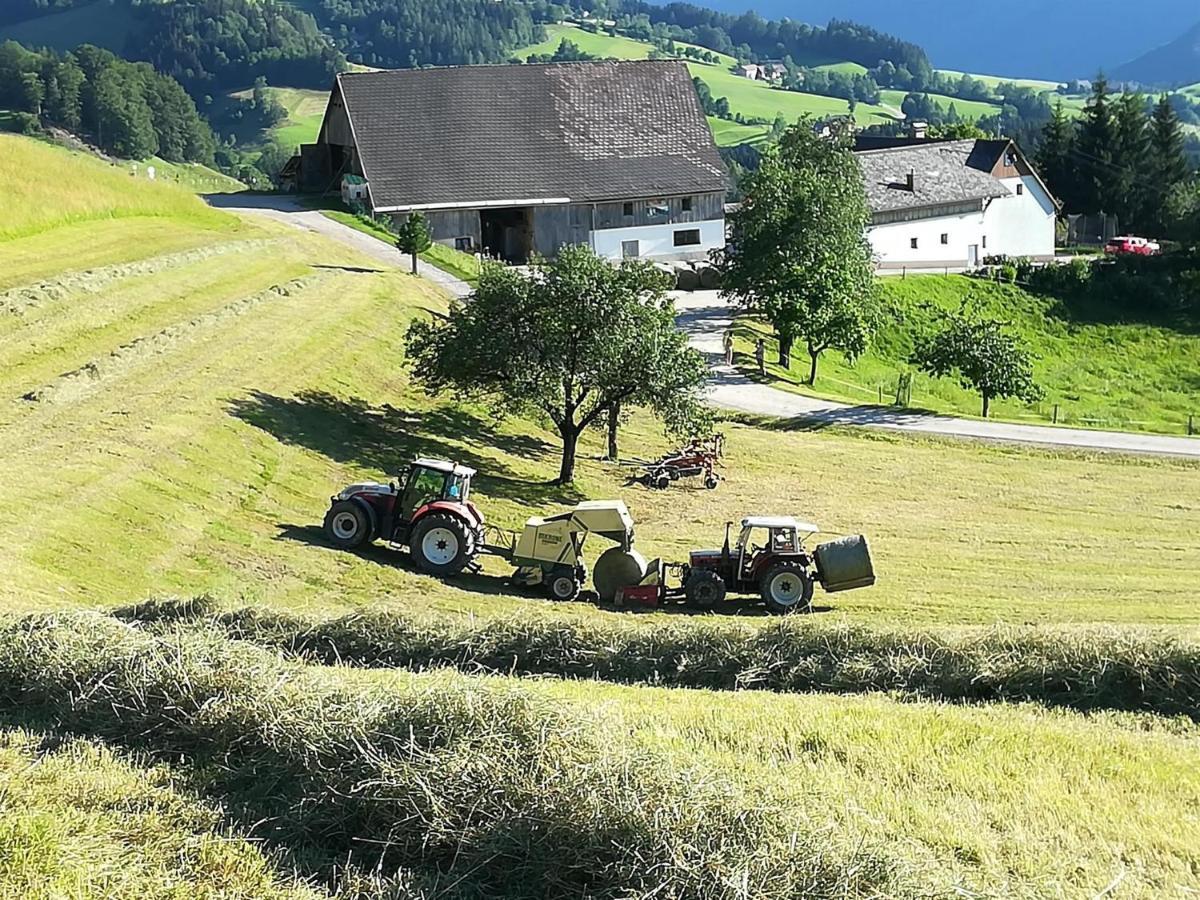 Familienbauernhof Imitz, Ferienwohnung Spital Am Pyhrn Kültér fotó