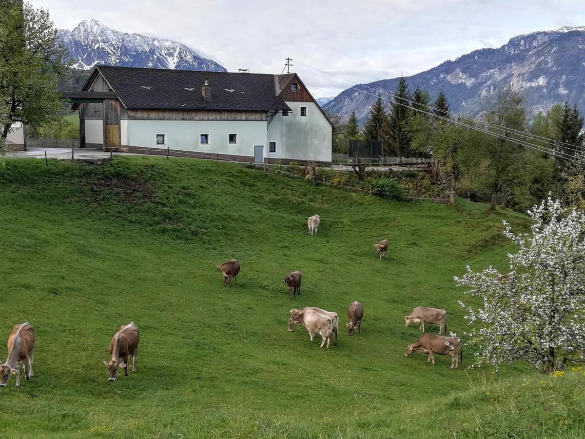 Familienbauernhof Imitz, Ferienwohnung Spital Am Pyhrn Kültér fotó